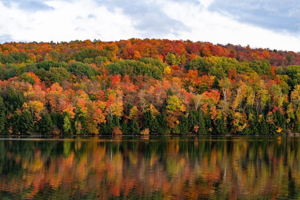 leaf peeping in vermont